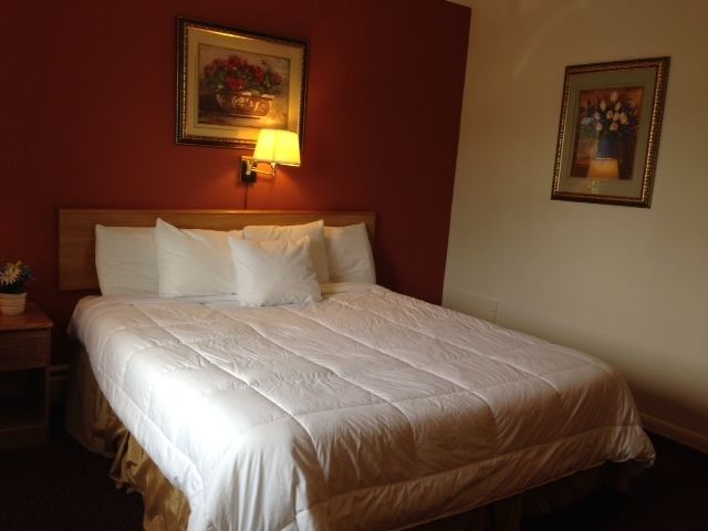 Rodeway Inn Manchester Phòng bức ảnh